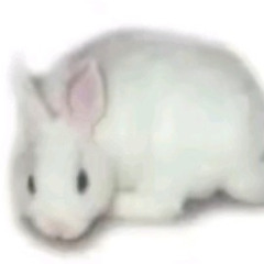 ㅤ