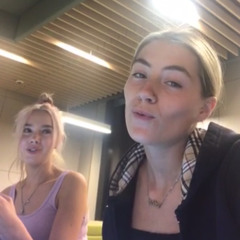 Annaliesedaisy