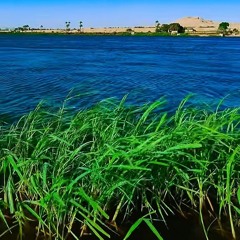 AbuHossam
