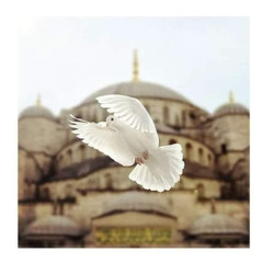 هند آل  بركة