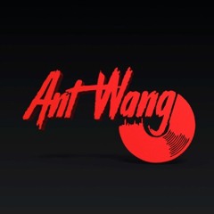 Ant Wang