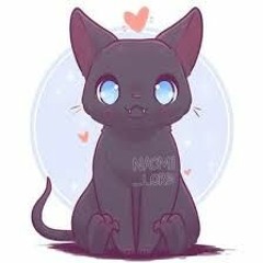 cat1255