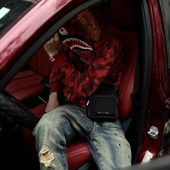 revengesoulja