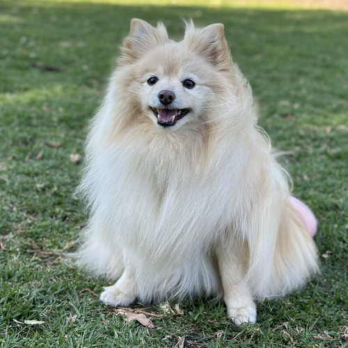 Stream Emma Marie music Listen to songs, albums, playlists for free