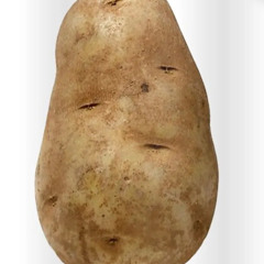 Potato