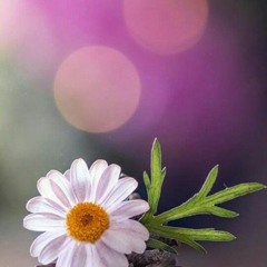 Gindkoitjjjf Gindkoitjjjf