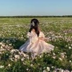 ✧₊♡ SKZ FAN ♡₊✧