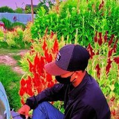 Ar Mans