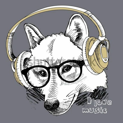 SK Wolf’s avatar