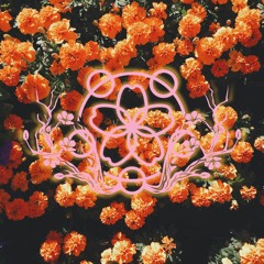 Without Blossom