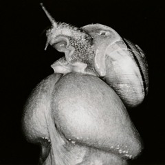 Thibault Aedy