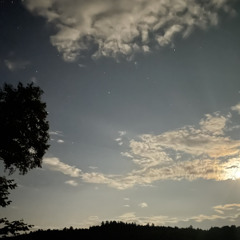 ————————————————