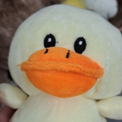 Djdk228