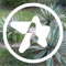 avant garden