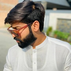 HaMi