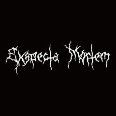 Exspecta Mortem