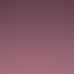 stpnvst