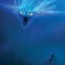 Emrys.murchie