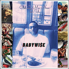 Babywi$e Guy