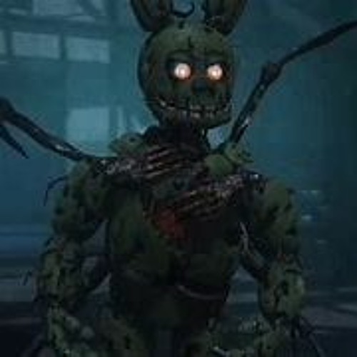 EnderSpringy’s avatar