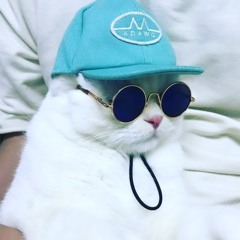 minilyon.