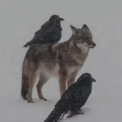 summonmysoul