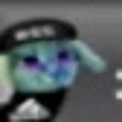 •••
