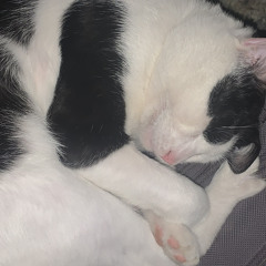 sleepy