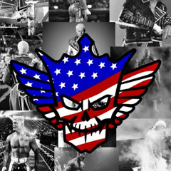 wwefan