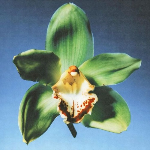 Sound Week 6 - typing ...