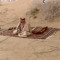 نَهُوك