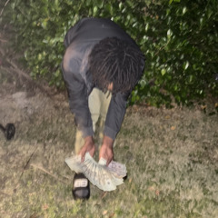 moneychasink5