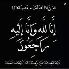علي محمد شلتوت