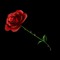 Joynal Abdin