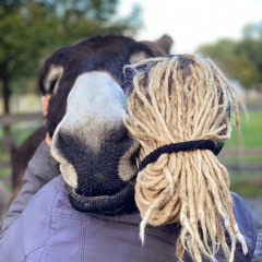 Elisabeth Nussbaumer