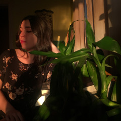 وتر كمان و خشب ناي قديم