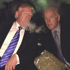 Dank - Grass