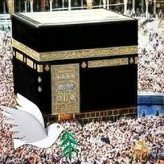 سنيه الفقي