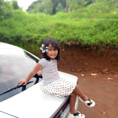 Laney dolon