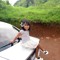 Laney dolon