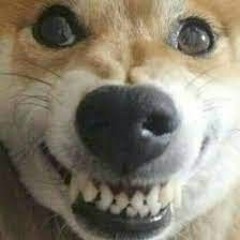 인생은 나쁜년