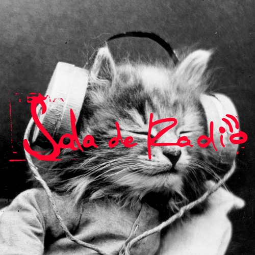 Stream Sala de Radio | Listen to podcast episodes online for free on  SoundCloud