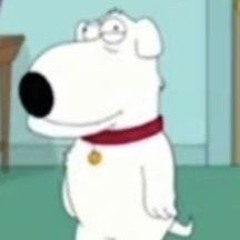 dj brian griffin