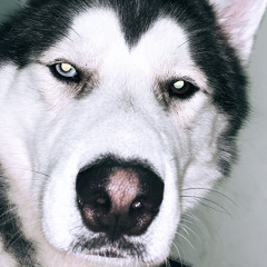 Abdallah Sakher Jilda