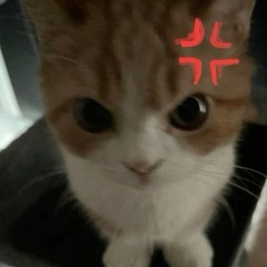 ︎ ︎ ︎ ︎ ︎ ︎ ︎