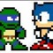 TMNT Sonic Team