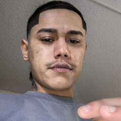 Vbfredo14
