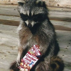 Trash Goblin 🦝🎸