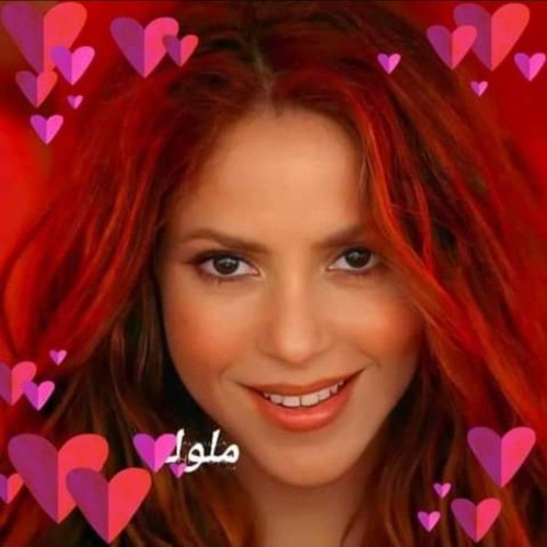 Shakira malouka 🇩🇿🇳🇱’s avatar
