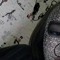 yto diamondsonmyneckk